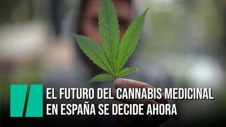 Marihuanas medicinales en España: Precios y beneficios